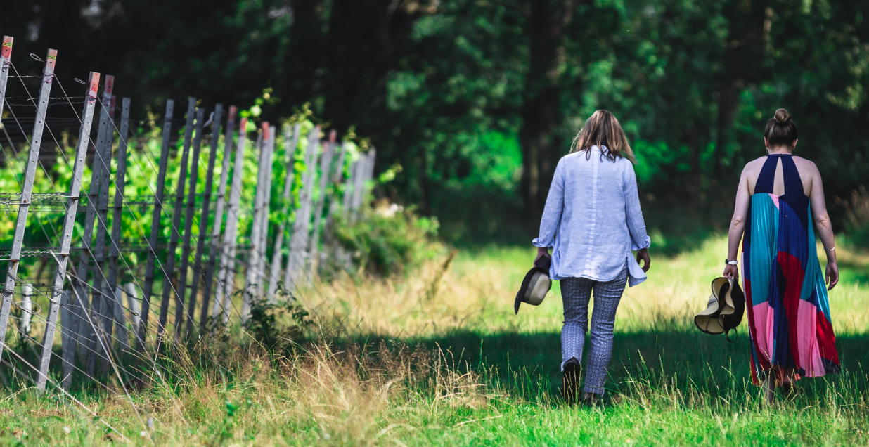 Two people walking through the vineyard at Oxney Organic Estate