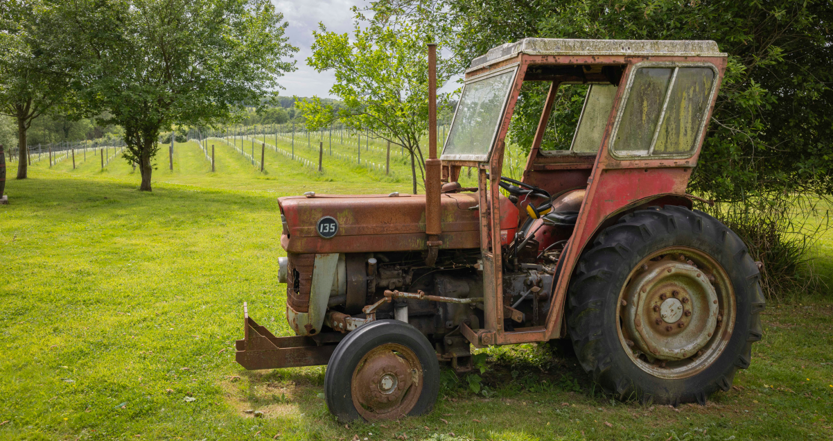 An aged tractor infront of the vines at Sedlescombe Organic Vineyard