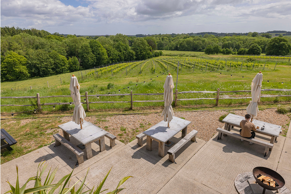 An overhead view of the outdoor picnic area at Tillingham