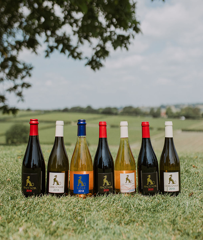 A variation of wine bottles lined up on the grass infront of the surrounding countryside at Charles Palmer Vineyards