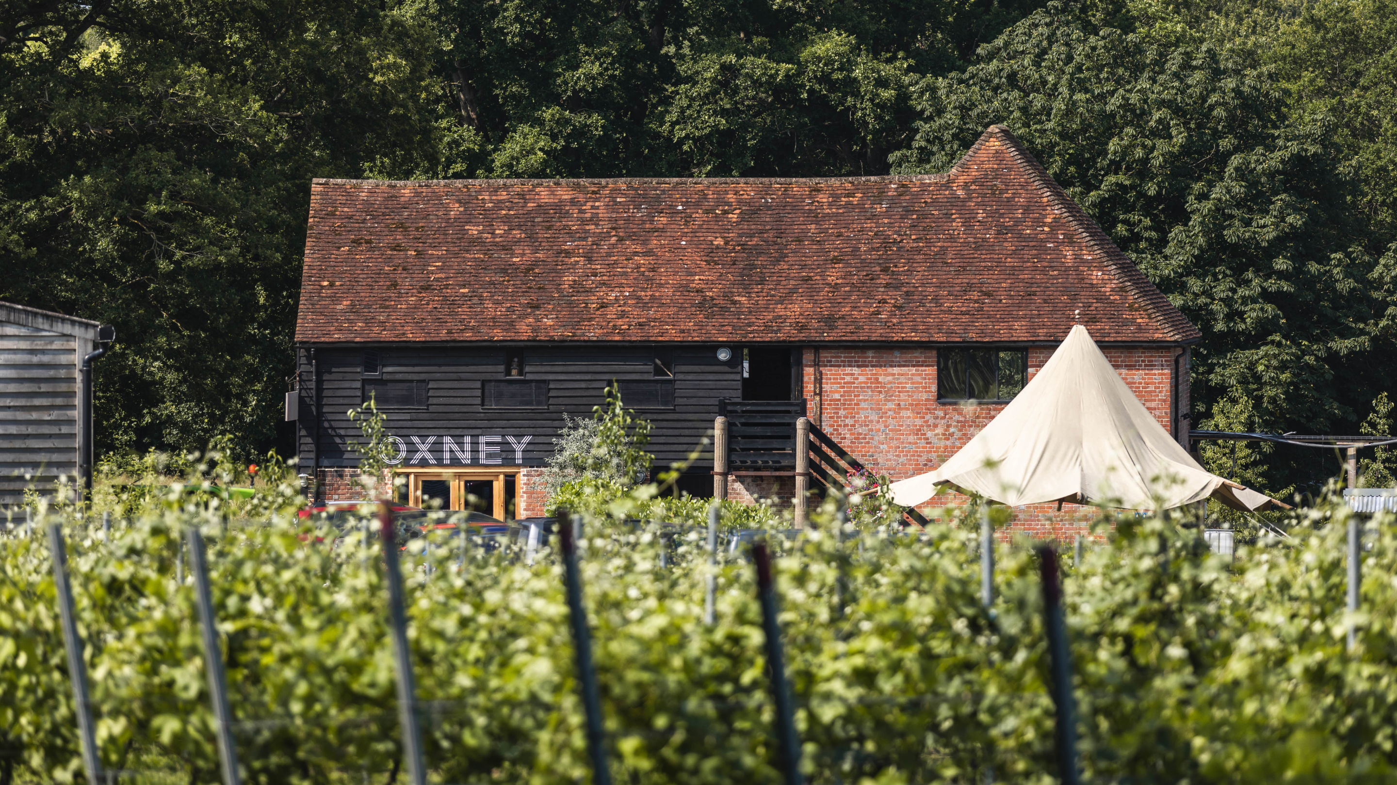 Vineyard view with the main winery building and bell tent canopy at Oxney Organic Estate