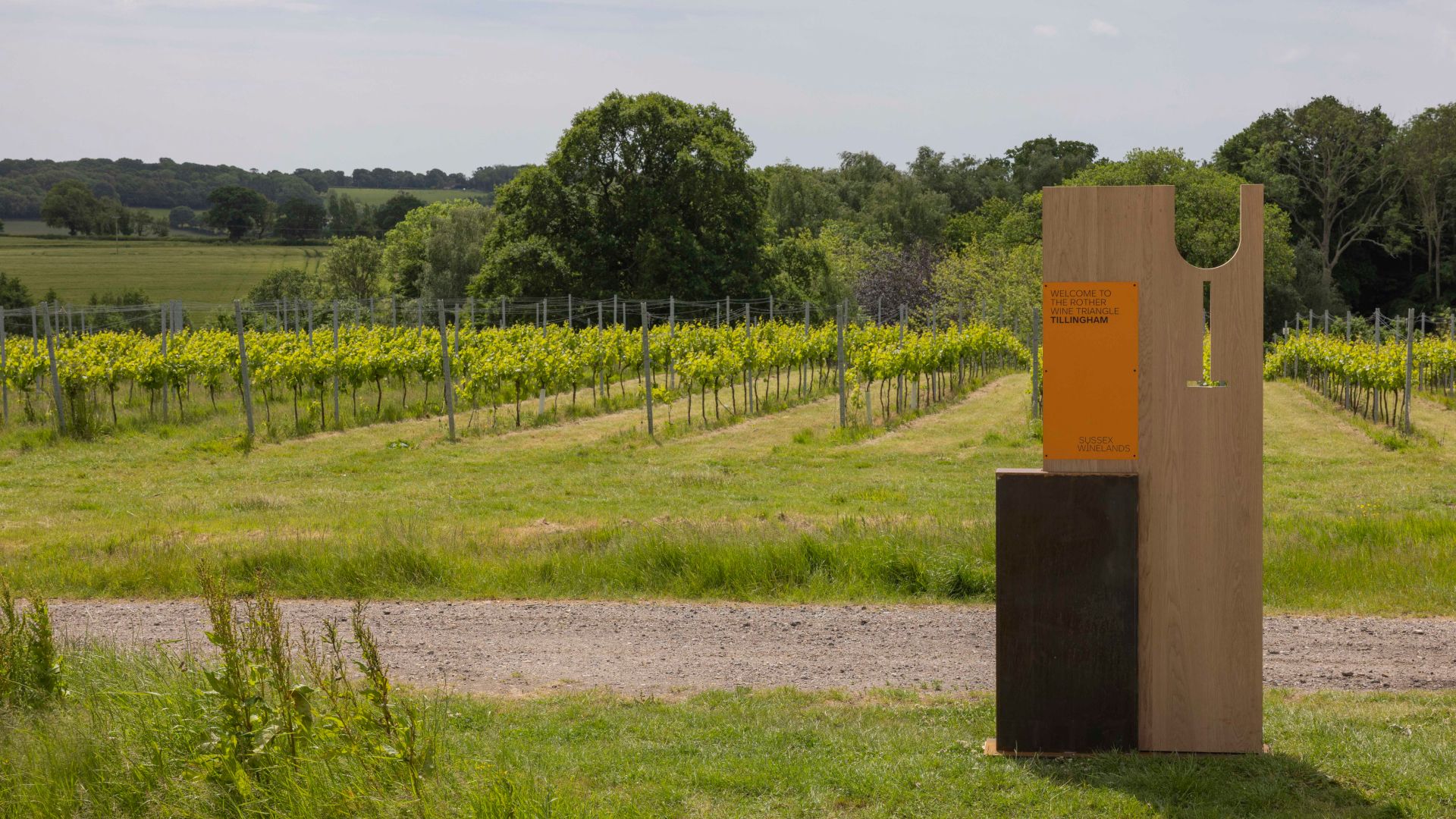 The Sussex Winelands signage installed with vines in the background at Tillingham